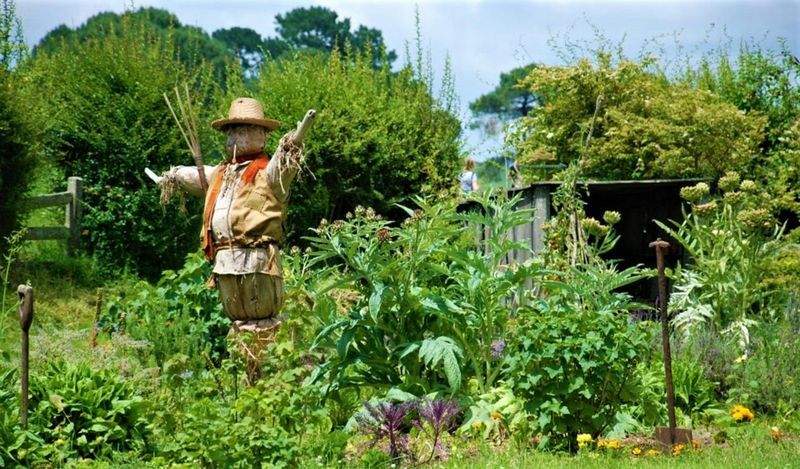 Préparer son jardin de Provence pour le printemps