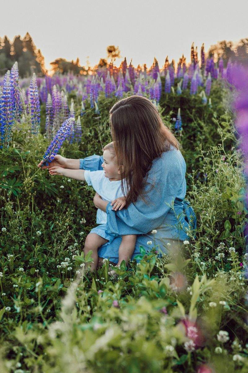 Jardin Harmonie Provence 6