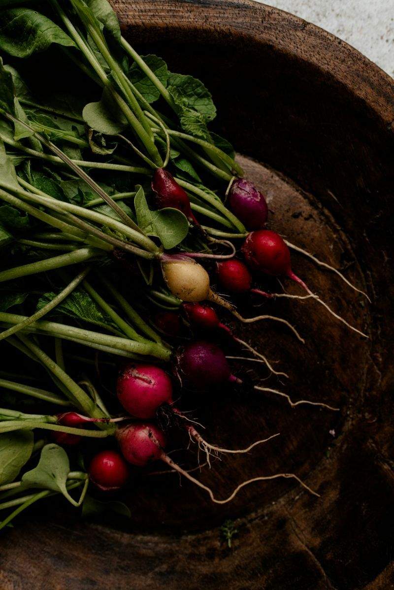 Plantation de fleurs, arbustes et vivaces